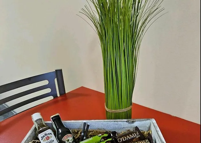 One 112 аll-season в св св константин и елена * Varna